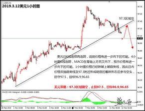 e球彩票走势图,趋势分析及预测策略