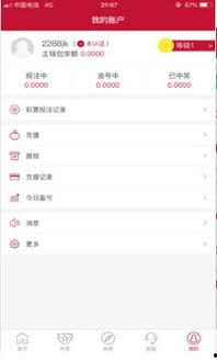 幸运追号,揭秘财富增长的神奇之旅