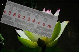 买3D组6,揭秘组合策略与中奖秘诀