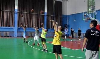 篮球2路号码,揭秘2路号码背后的传奇故事