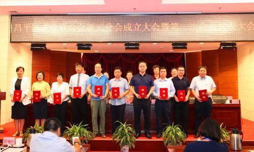 幸运鑫精,揭秘神秘幸运符的神奇力量