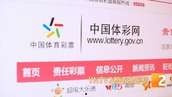 彩票中奖的幸运儿,彩票中奖背后的故事