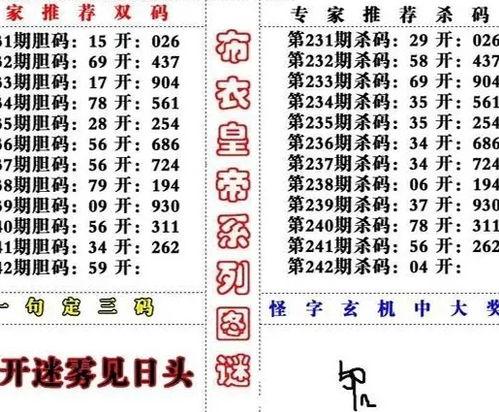 3d字谜2017146,揭秘3D字谜的神秘世界