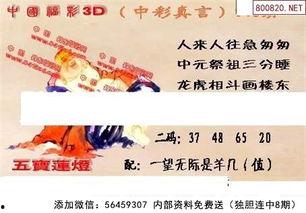 3d字谜2017146,揭秘3D字谜的神秘世界