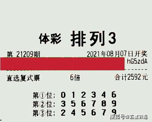 209期3d,揭秘中奖密码与热门号码